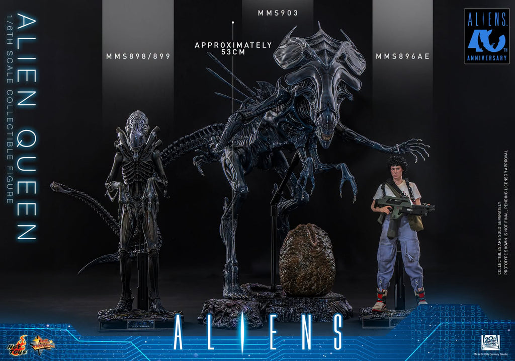 Hot Toys Aliens - 1/6th scale Alien Queen Collectible Figure Hot Toys