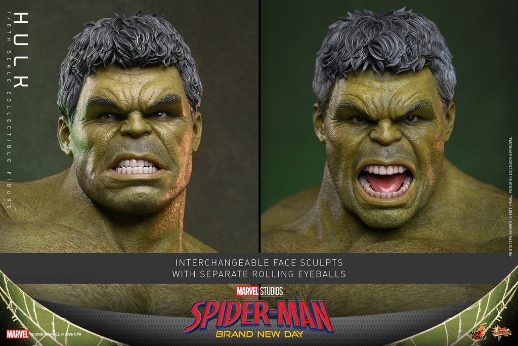 Hot Toys MMS905 Spider-Man: Brand New Day - 1/6th scale Hulk Collectible Figure Hot Toys