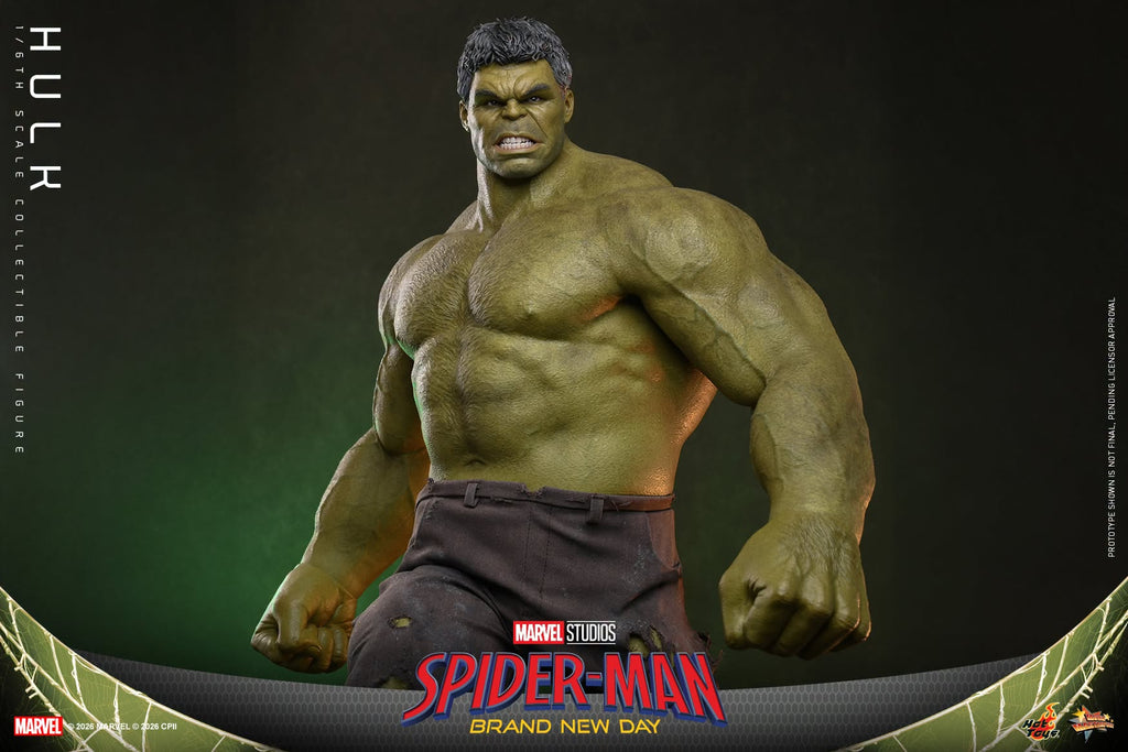 Hot Toys MMS905 Spider-Man: Brand New Day - 1/6th scale Hulk Collectible Figure Hot Toys