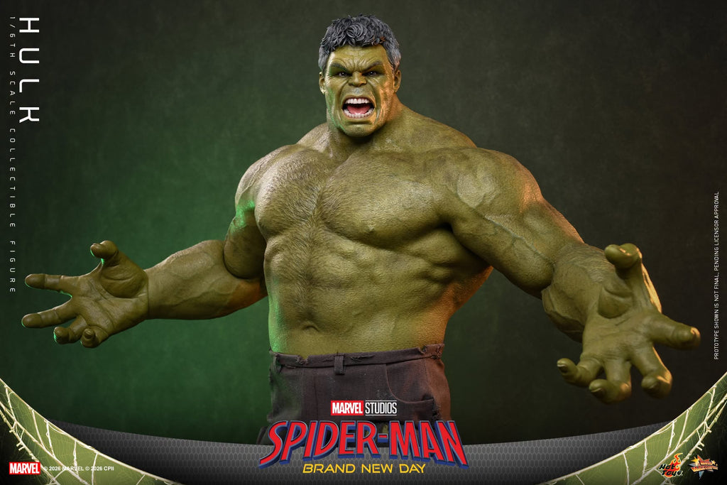 Hot Toys MMS905 Spider-Man: Brand New Day - 1/6th scale Hulk Collectible Figure Hot Toys