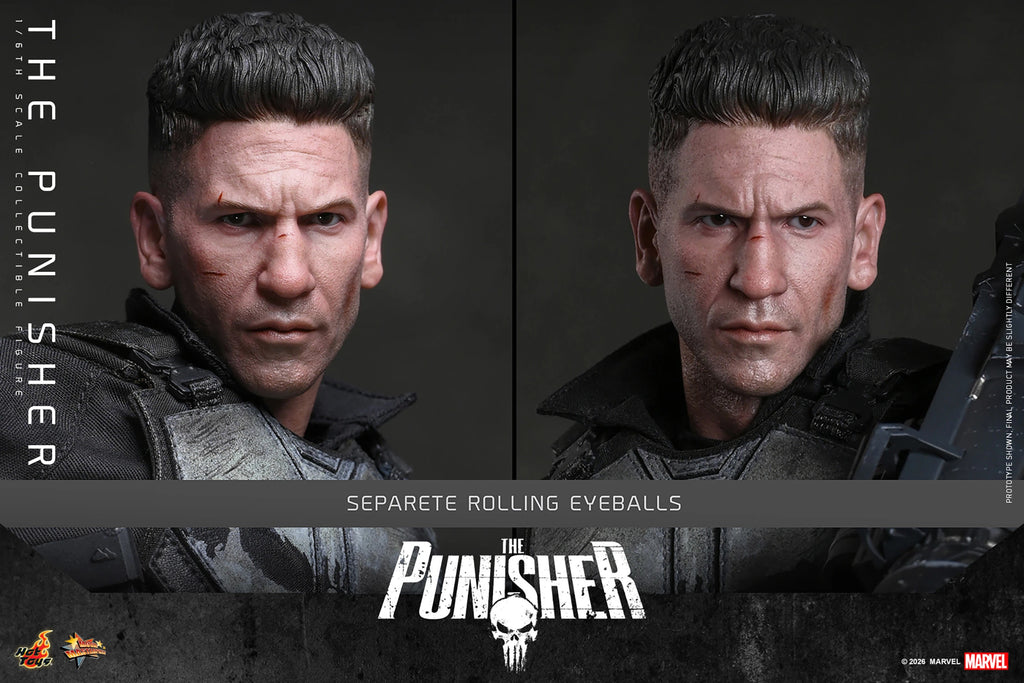 Hot Toys MMS904 The Punlisher 1/6th Scale Collectible Figure