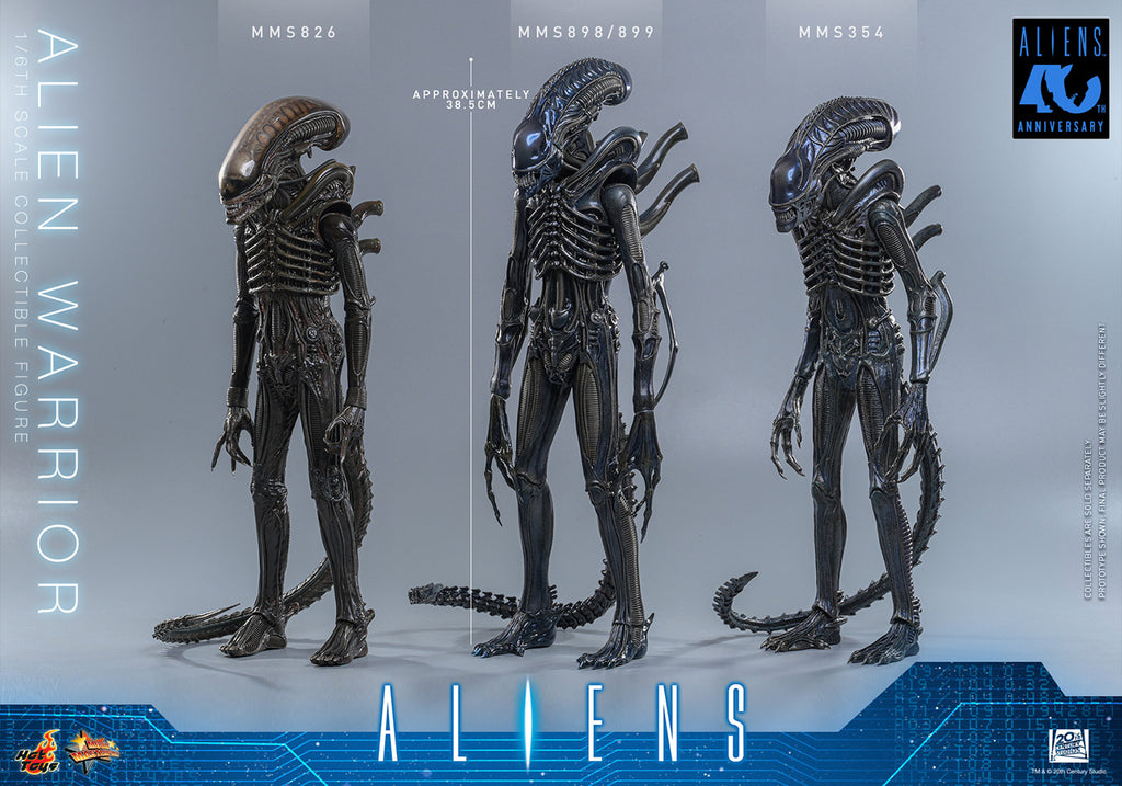 Hot Toys Alien Warrior MMS898 / MMS899 1/6 Scale Action Figure Hot Toys