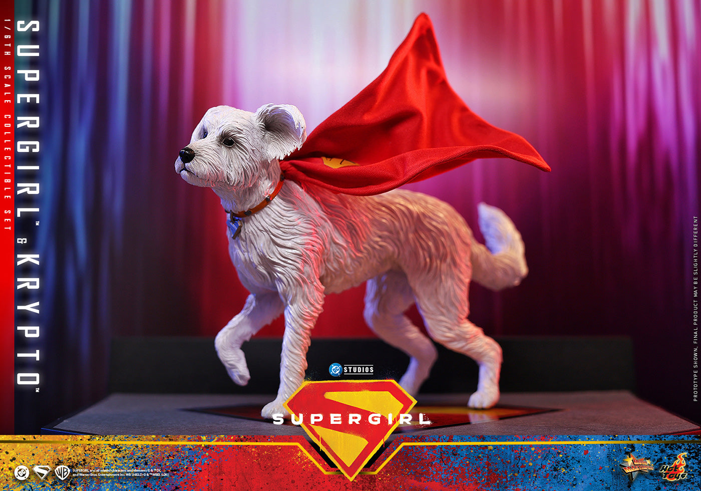 Hot Toys Supergirl & Krypto MMS869 Set 1/6 Scale Action Figure Hot Toys