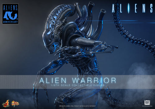 Hot Toys Alien Warrior MMS898 / MMS899 1/6 Scale Action Figure Hot Toys