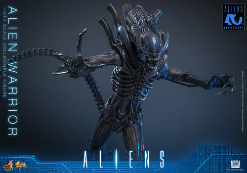 Hot Toys Alien Warrior MMS898 / MMS899 1/6 Scale Action Figure Hot Toys