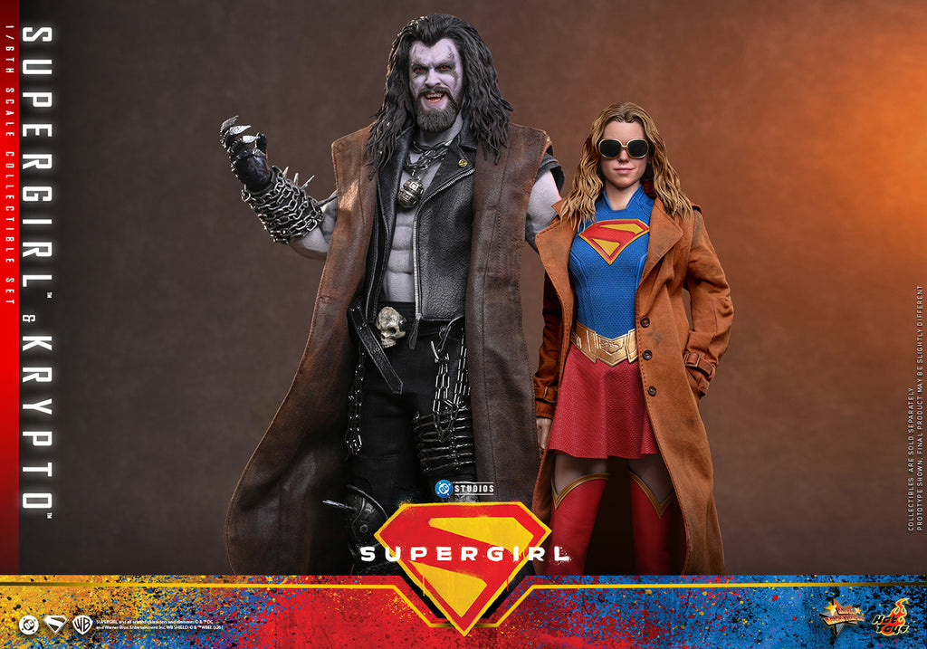 Hot Toys Supergirl & Krypto MMS869 Set 1/6 Scale Action Figure Hot Toys