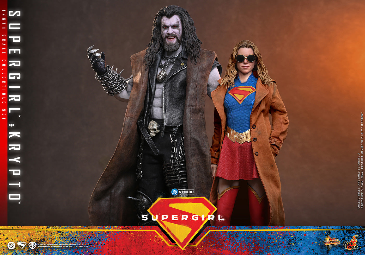 Hot Toys Supergirl & Krypto MMS869 Set 1/6 Scale Action Figure Hot Toys